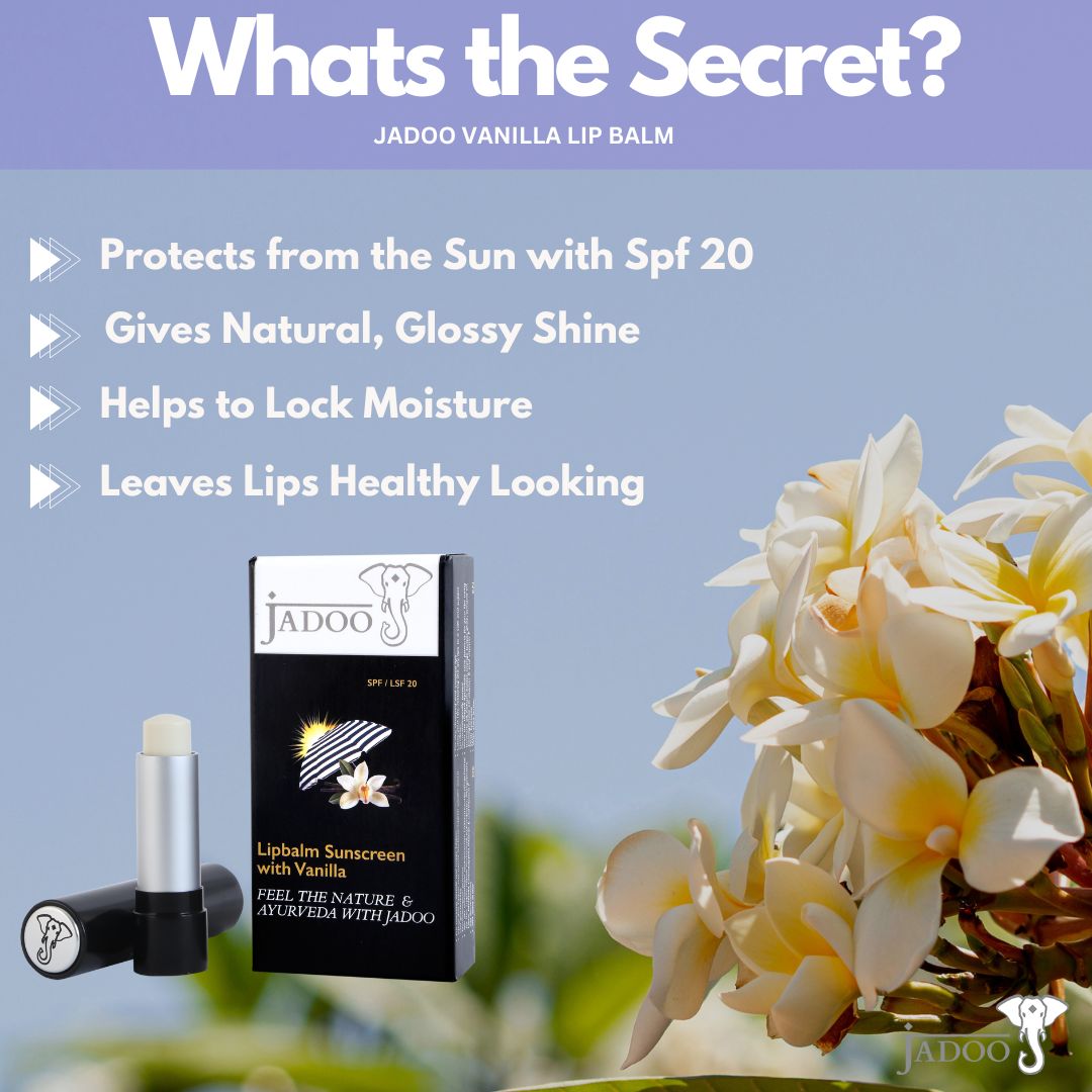 4 Vanille-Lippenbalsam-Familienpaket