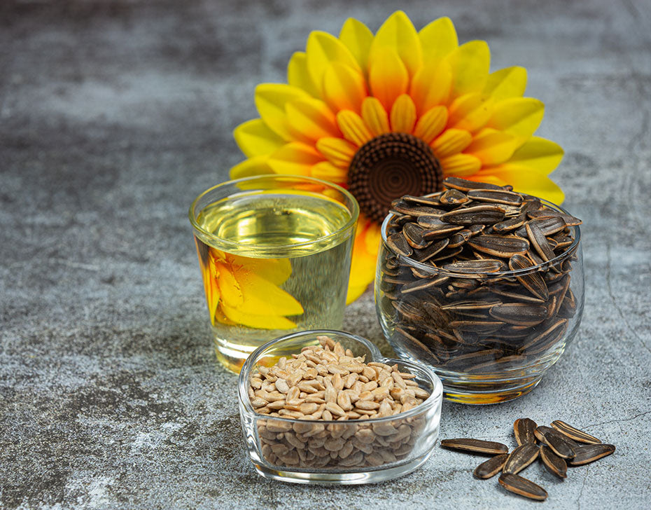 Kumar Ayurveda GmbH