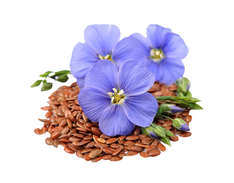 Kumar Ayurveda GmbH